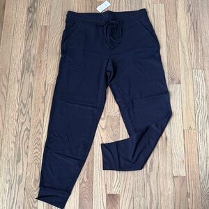 LOFT Navy comfy jogger Pants